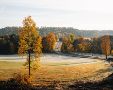 Linus Bergman | Nikon magazine