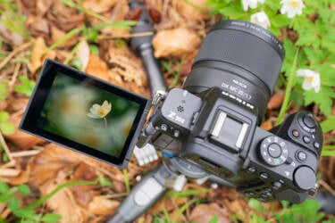 Nikon magazine - macro photography with spring flowers